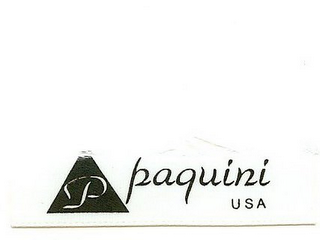 P PAQUINI USA logo