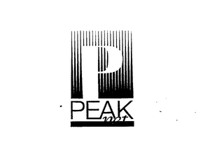 P PEAK NET logo