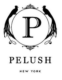 P PELUSH NEW YORK logo