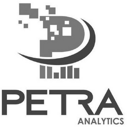P PETRA ANALYTICS