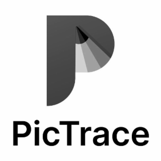 P PICTRACE logo