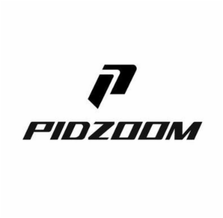 P PIDZOOM logo