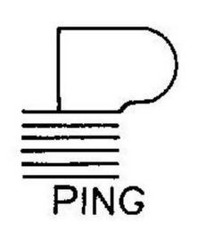 P PING logo