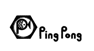 P PING PONG logo