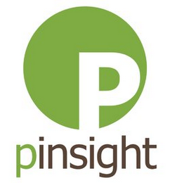P PINSIGHT logo