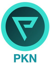 P PKN logo