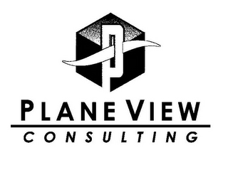 P PLANE VIEW CONSULTING logo