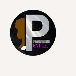 P PLATINUM ENT LLC logo