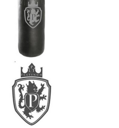 P PLT PLATINUM P logo