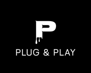 P PLUG & PLAY logo