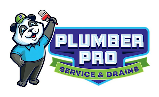 P PLUMBER PRO SERVICE & DRAINS logo