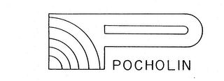 P POCHOLIN logo