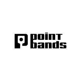 P POINT BANDS logo
