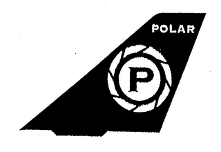 P POLAR logo