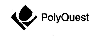 P POLYQUEST logo