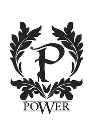 P POWER logo