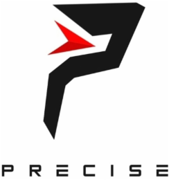 P PRECISE logo