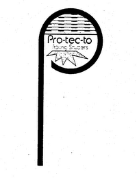 P PRO-TEC-TO ROLLING SHUTTERS logo