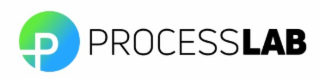 P PROCESSLAB logo