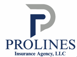 P PROLINES INSURANCE AGENCY, LLC logo