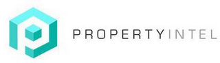 P PROPERTYINTEL logo