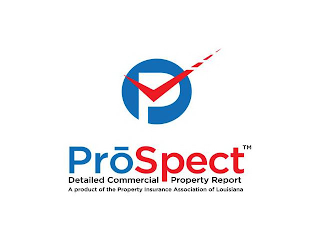 P PROSPECT DETAILED COMMERCIAL PROPERTY REPORT A PRODUCT OF THE PROPERTY INSURANCE ASSOCIATION OF LOUISIANA logo