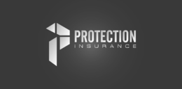 P PROTECTION INSURANCE logo