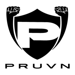 P PRUVN logo
