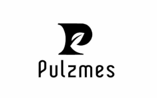 P PULZMES logo