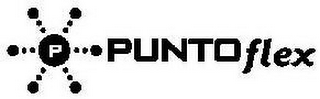P PUNTO FLEX logo