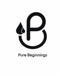 P PURE BEGINNINGS logo