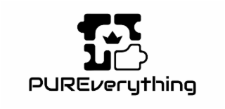 P PUREVERYTHING logo