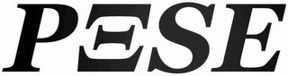 P S E logo