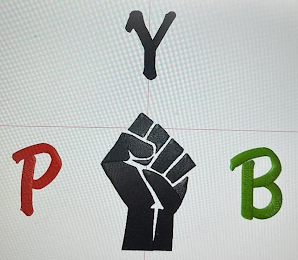 P Y B logo