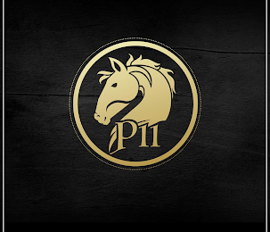 P11 logo