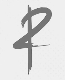 P12 logo
