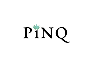 P1NQ logo