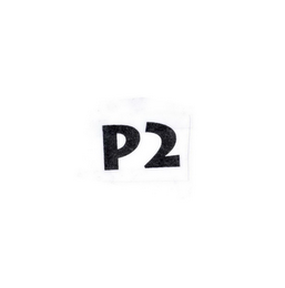 P2 logo