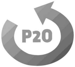 P20 logo