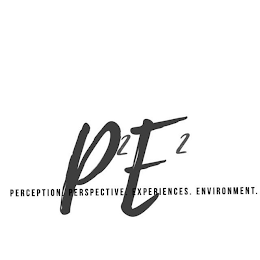 P2E2 : PERCEPTION, PERSPECTIVE, EXPERIENCES, ENVIRONMENT logo