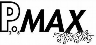 P2O5 MAX logo