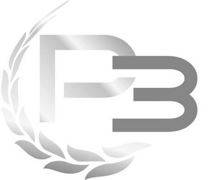 P3 logo