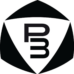 P3 logo