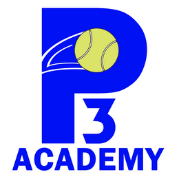 P3 ACADEMY logo