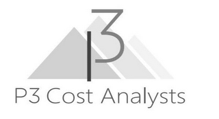 P3 P3 COST ANALYSTS logo