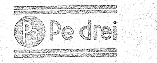 P3 PE DREI logo