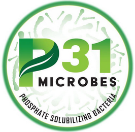 P31 MICROBES PHOSPHATE SOLUBILIZING BACTERIA logo