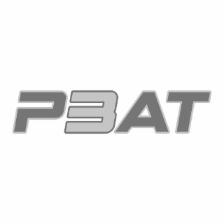 P3AT logo