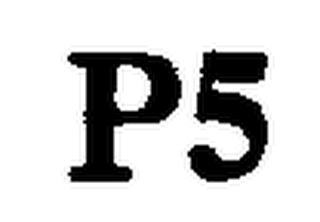 P5 logo