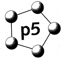 P5 logo